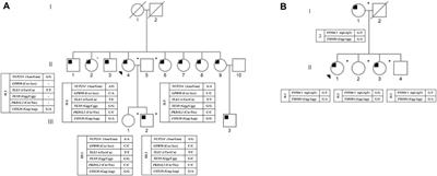 Whole-exome identifies germline variants in families with obstructive sleep apnea syndrome